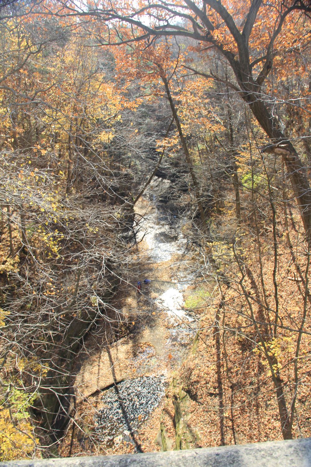 Matthiessen 